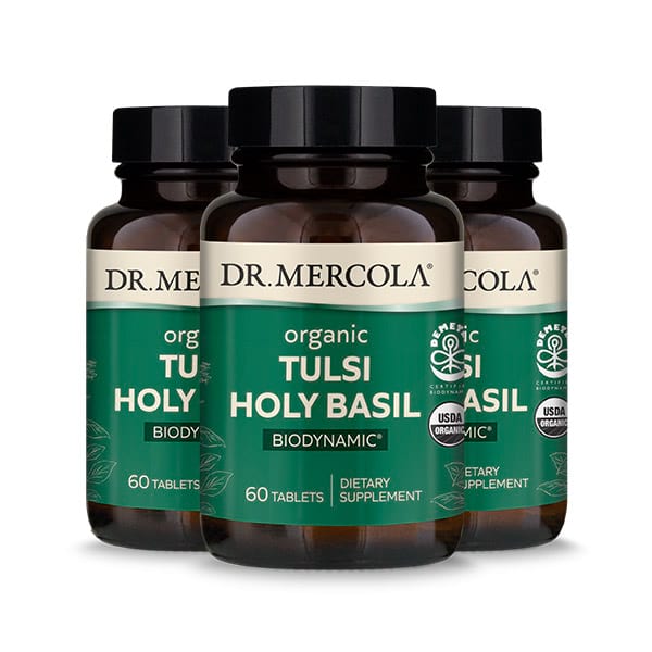 Biodynamic Organic Tulsi Holy Basil - shop at BiosenseClinic.com - Harmony with Nature, Health for Life: Biodynamic Organic Tulsi Holy Basil - Nourishing Mind, Body, and Spirit.